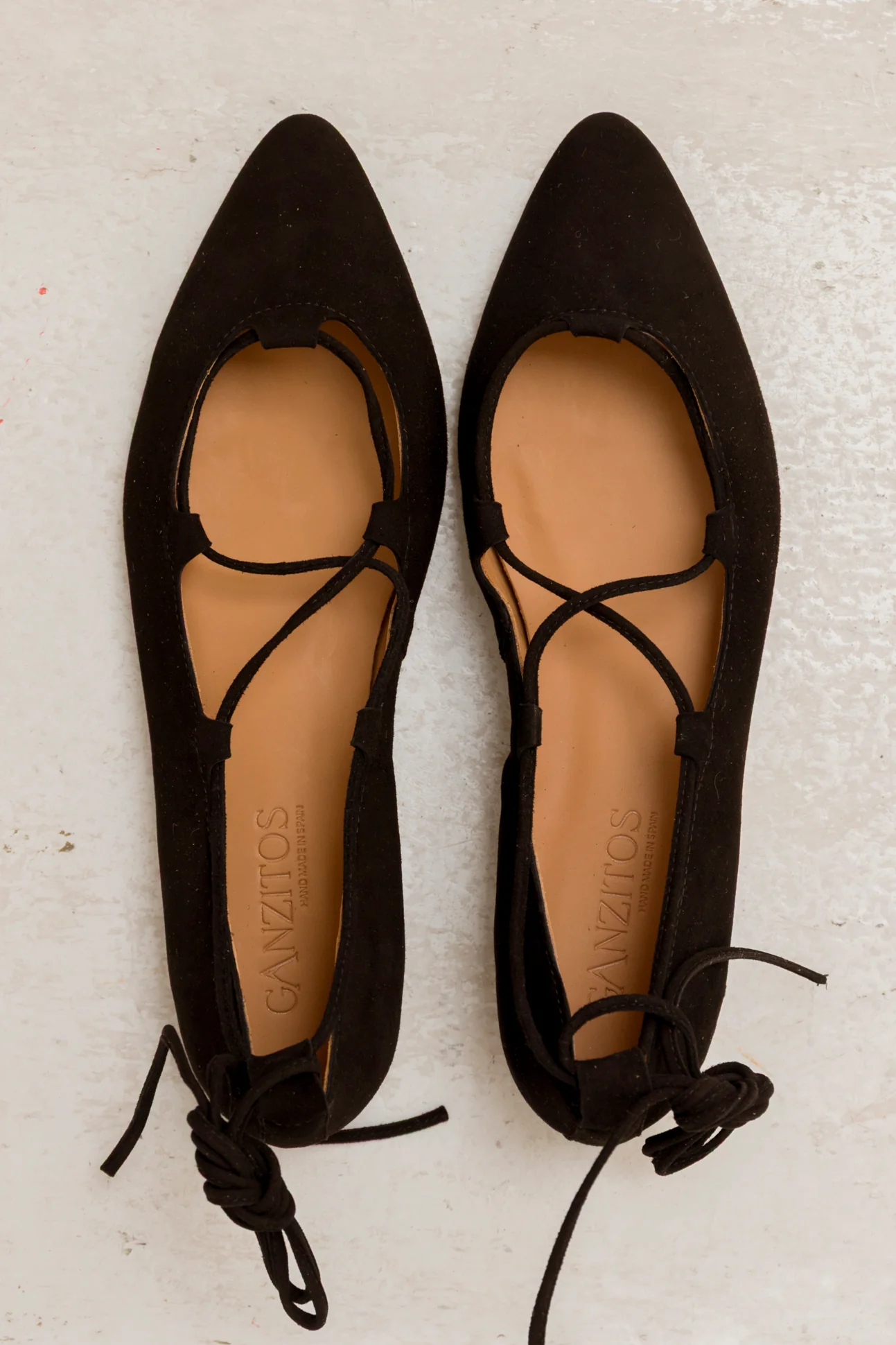 Penelope Ante Negro - Image 3