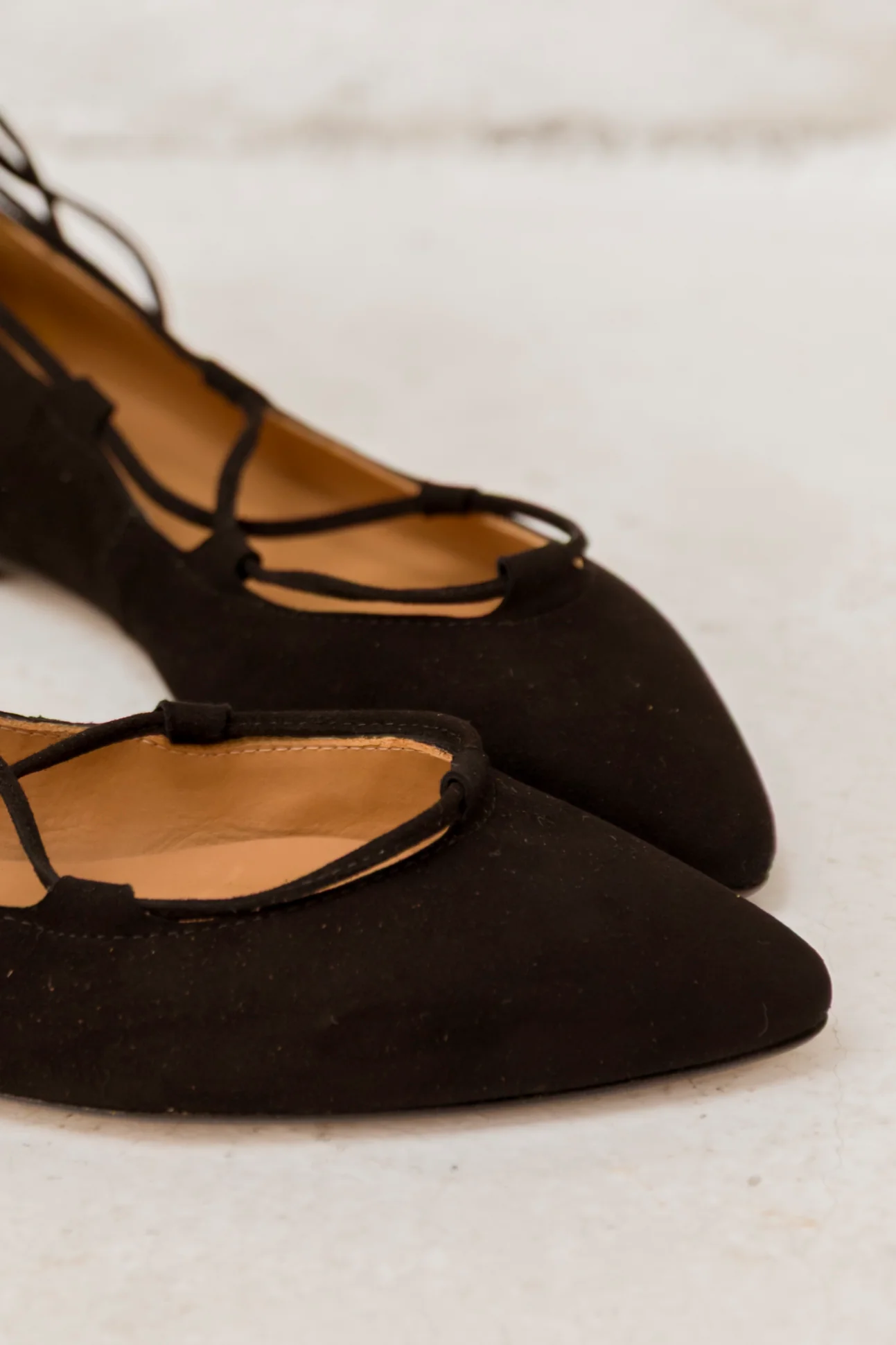 Penelope Ante Negro - Image 4